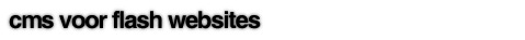 Cms flash websites