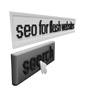 SEO voor Flash icon
